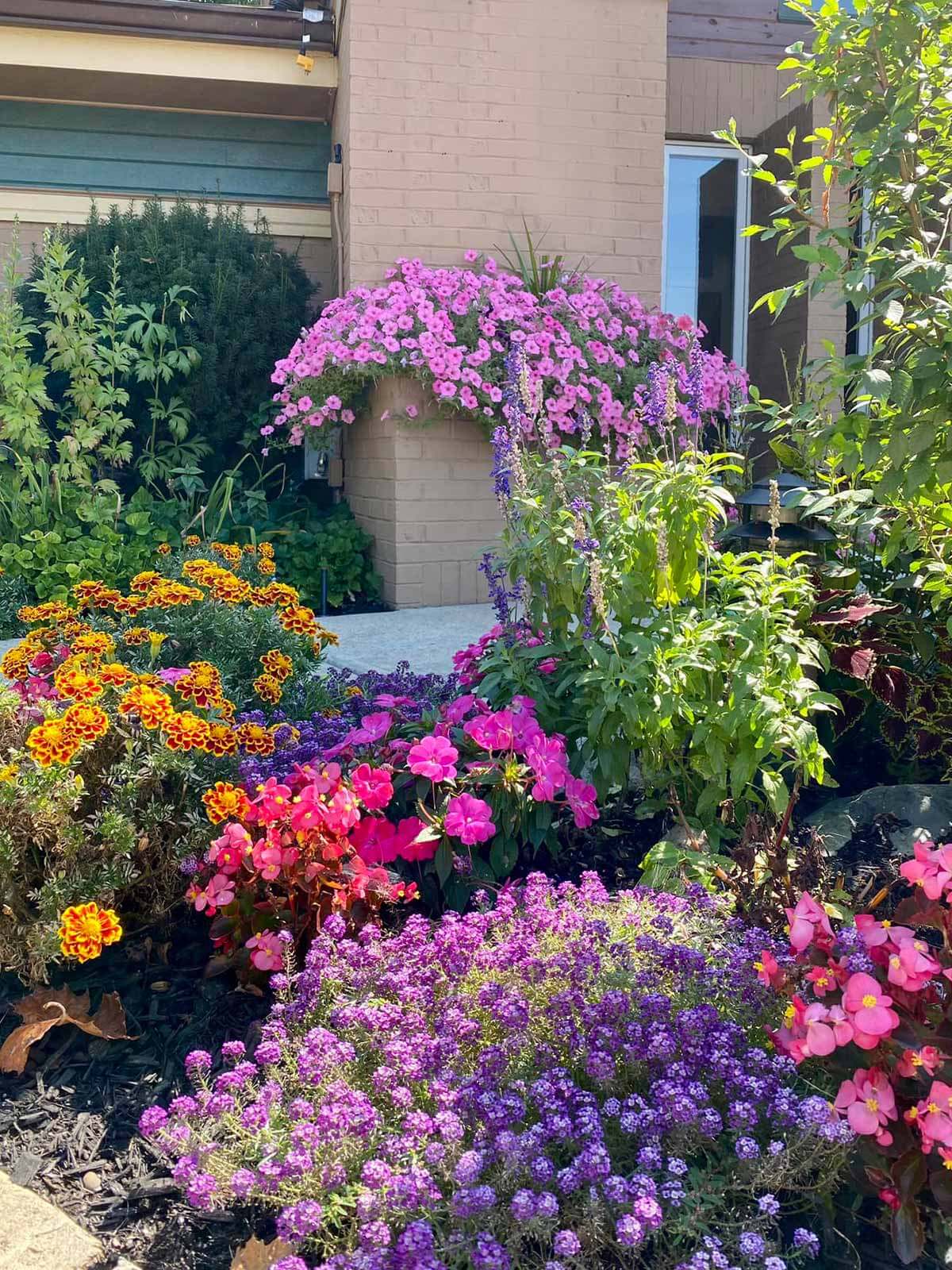pd-gallery-plants